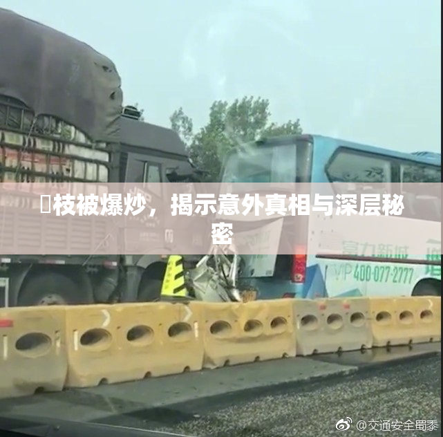 狛枝被爆炒，揭示意外真相与深层秘密