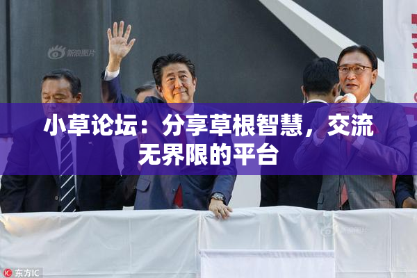 小草论坛：分享草根智慧，交流无界限的平台
