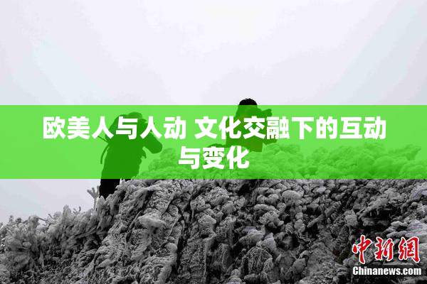 欧美人与人动 文化交融下的互动与变化