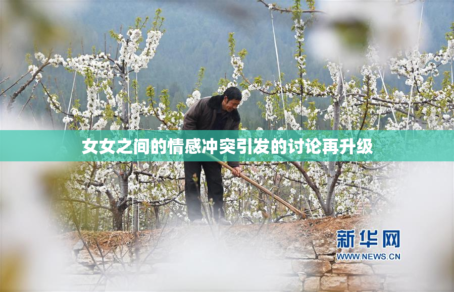 女女之间的情感冲突引发的讨论再升级