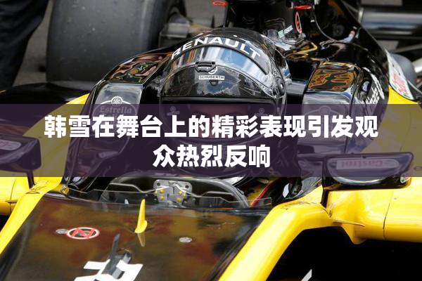 韩雪在舞台上的精彩表现引发观众热烈反响