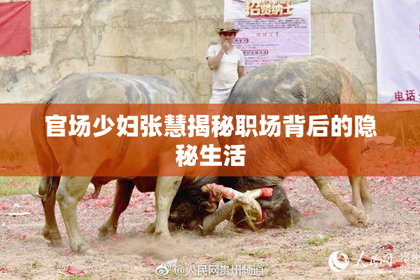 官场少妇张慧揭秘职场背后的隐秘生活
