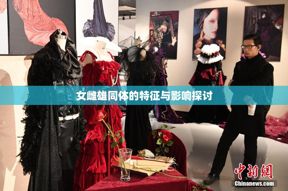 女雌雄同体的特征与影响探讨