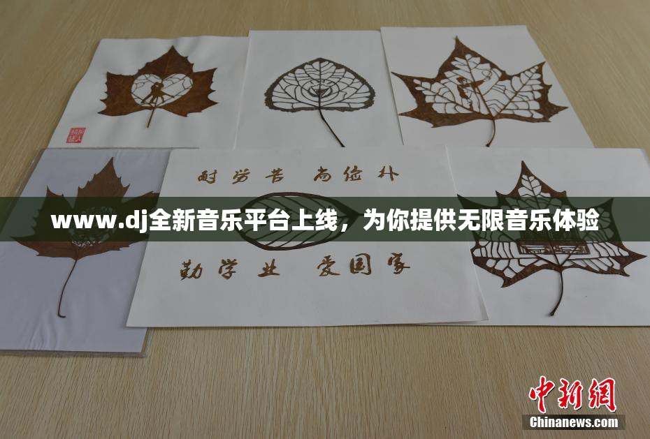 www.dj全新音乐平台上线，为你提供无限音乐体验