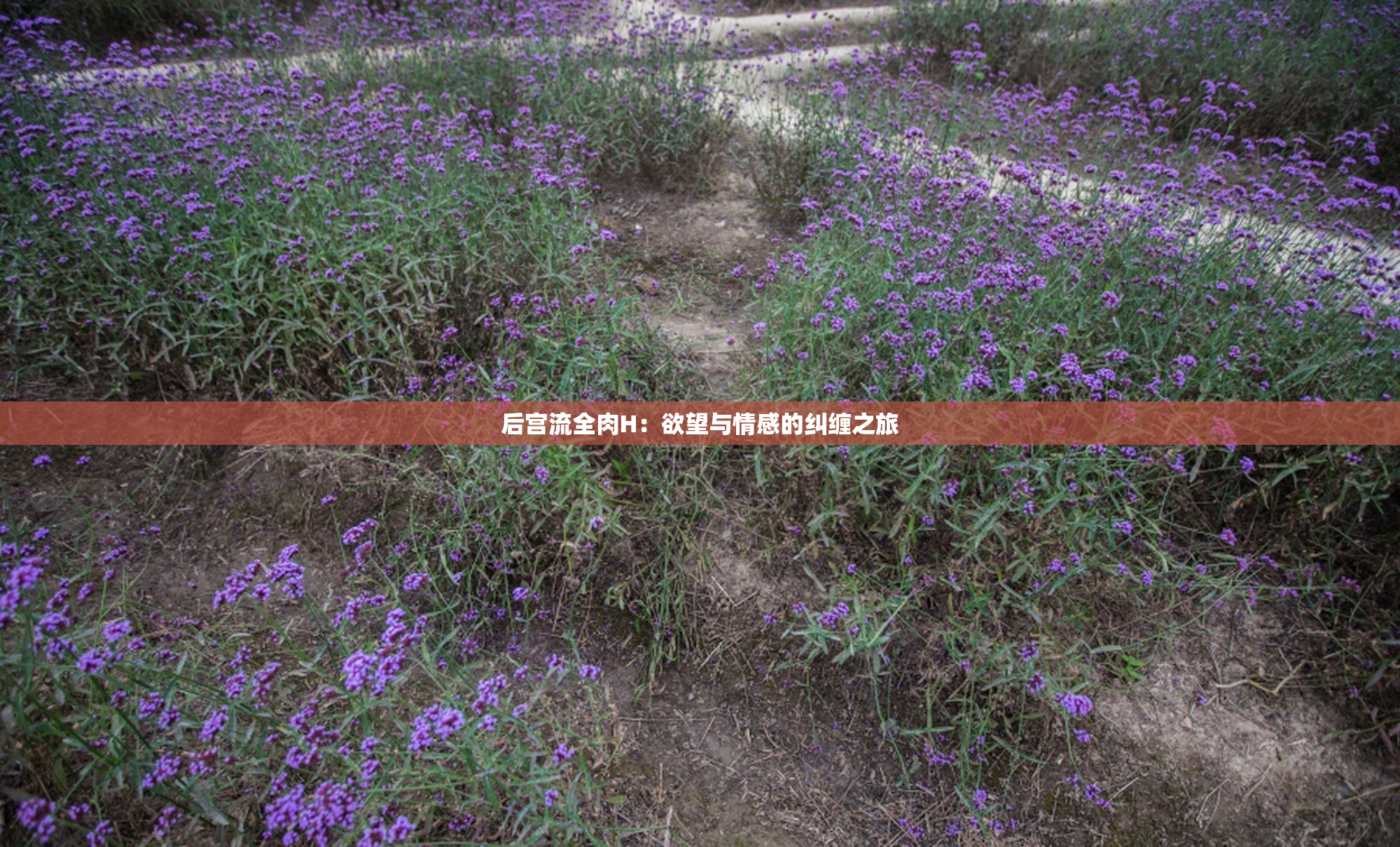 后宫流全肉H：欲望与情感的纠缠之旅
