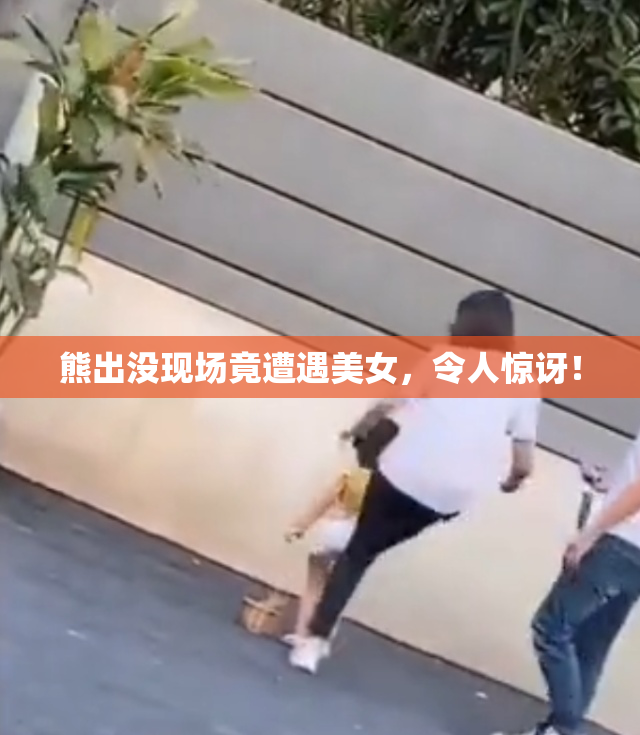 熊出没现场竟遭遇美女，令人惊讶！