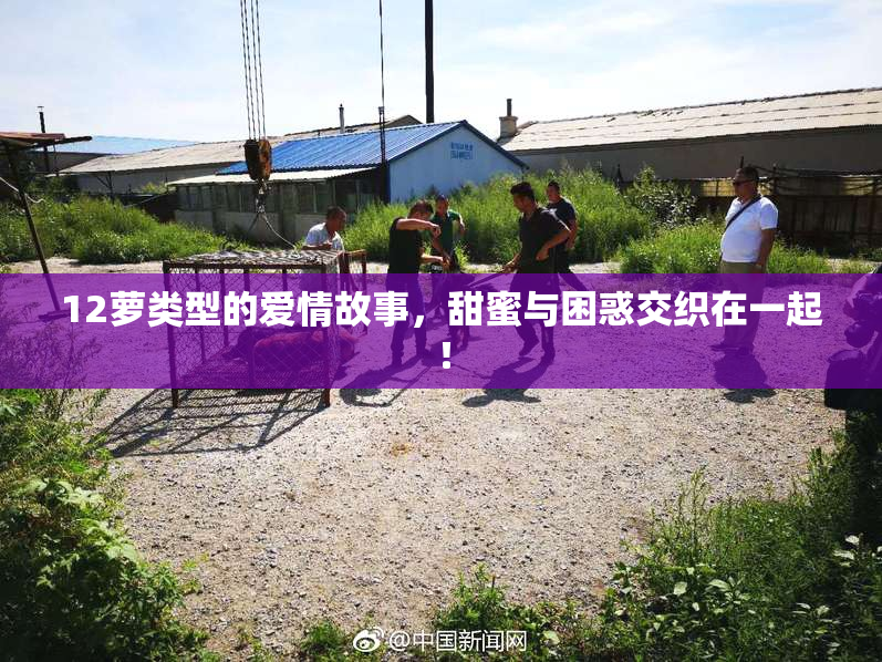 12萝类型的爱情故事，甜蜜与困惑交织在一起！