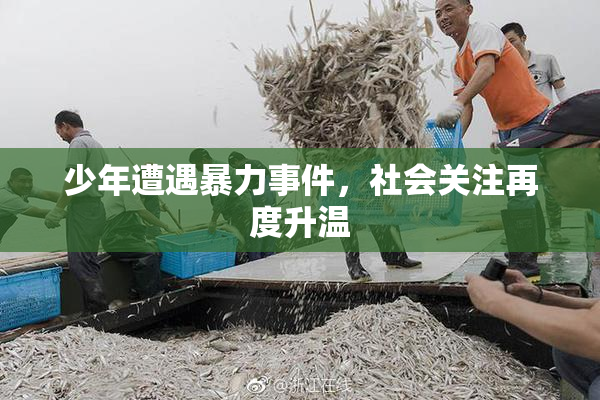 少年遭遇暴力事件，社会关注再度升温