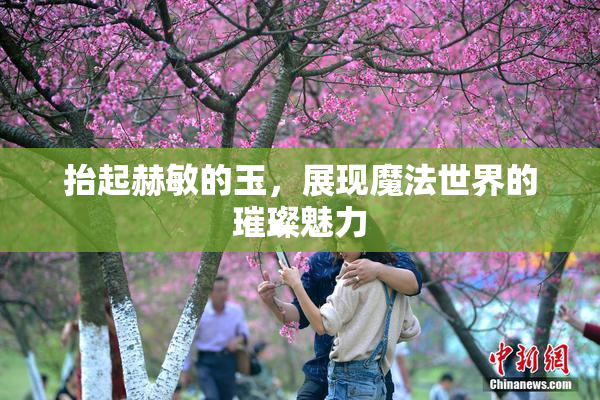 抬起赫敏的玉，展现魔法世界的璀璨魅力