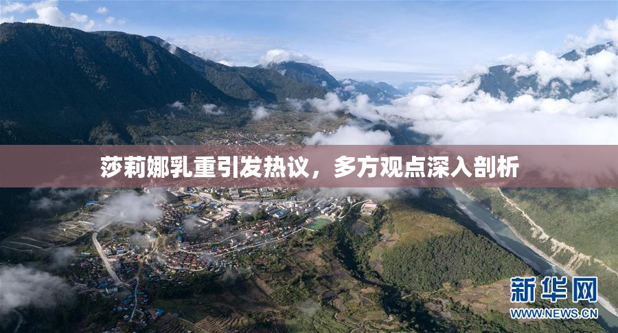 莎莉娜乳重引发热议，多方观点深入剖析