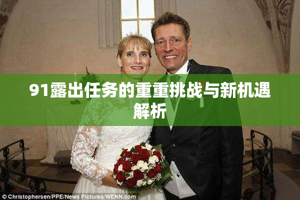 91露出任务的重重挑战与新机遇解析