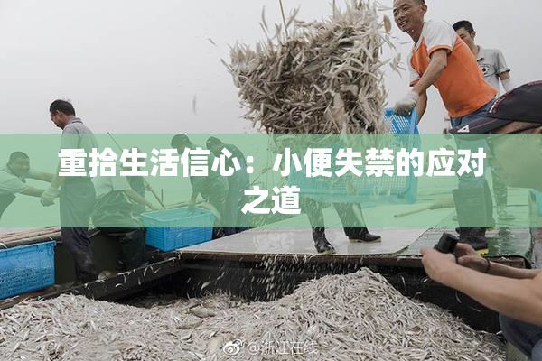 重拾生活信心：小便失禁的应对之道
