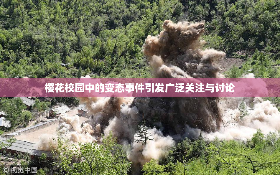 樱花校园中的变态事件引发广泛关注与讨论