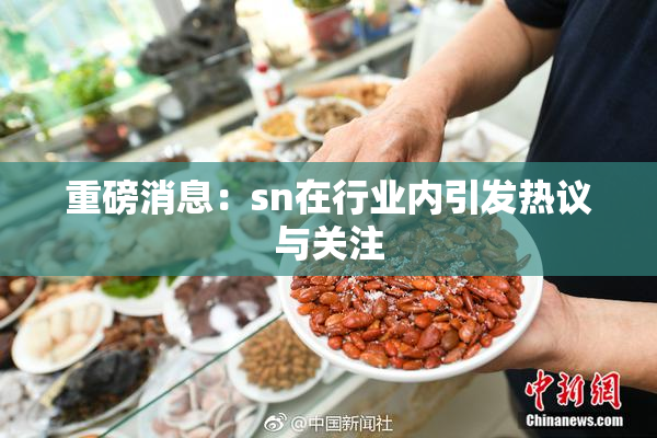 重磅消息：sn在行业内引发热议与关注