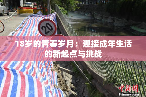 18岁的青春岁月：迎接成年生活的新起点与挑战