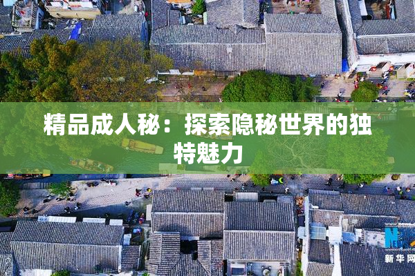 精品成人秘：探索隐秘世界的独特魅力