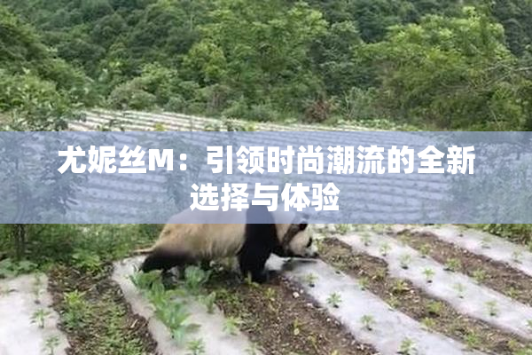 尤妮丝M：引领时尚潮流的全新选择与体验