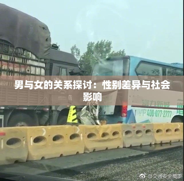 男与女的关系探讨：性别差异与社会影响