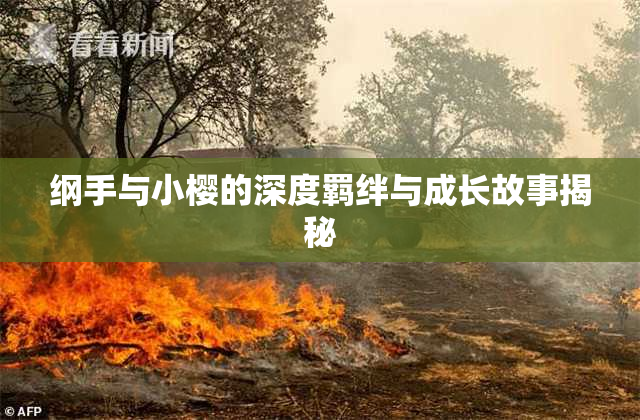 纲手与小樱的深度羁绊与成长故事揭秘