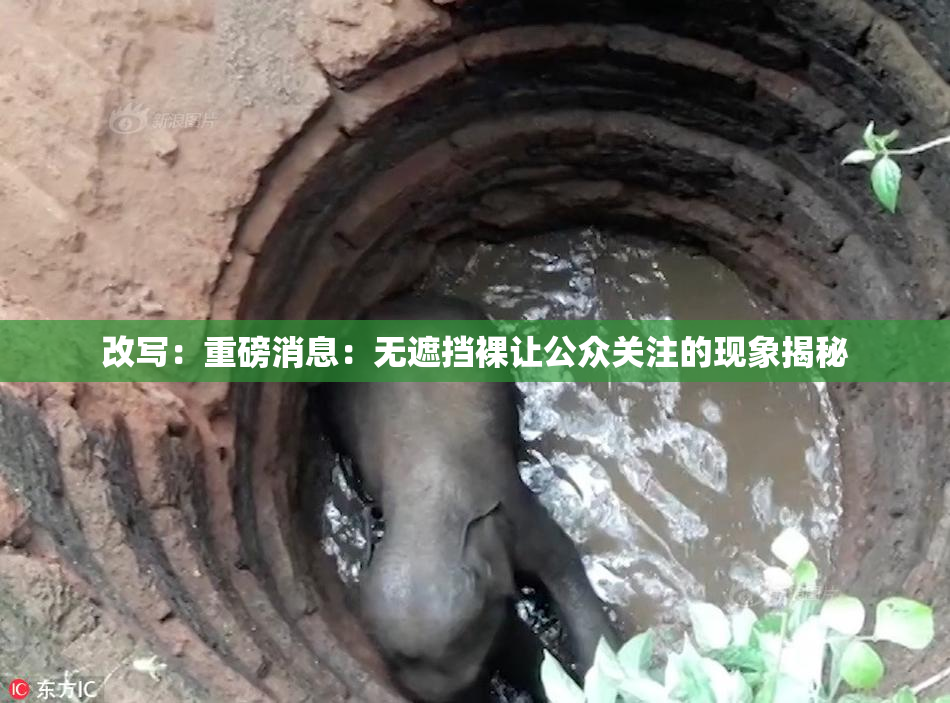 改写：重磅消息：无遮挡裸让公众关注的现象揭秘