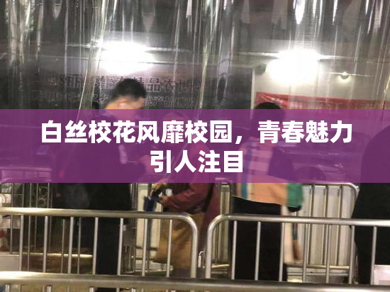 白丝校花风靡校园，青春魅力引人注目