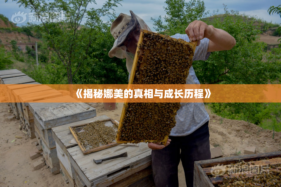 《揭秘娜美的真相与成长历程》