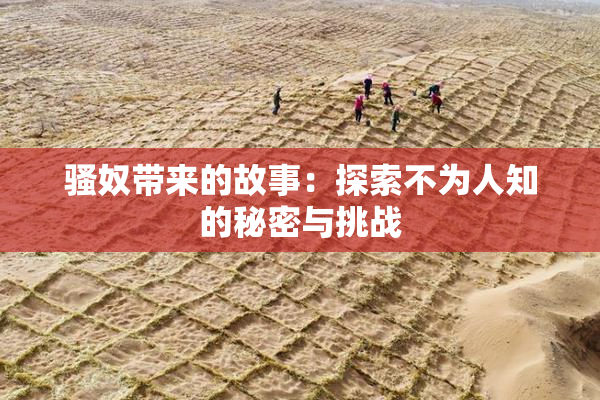 骚奴带来的故事：探索不为人知的秘密与挑战
