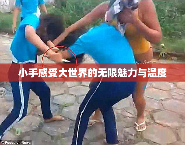 小手感受大世界的无限魅力与温度