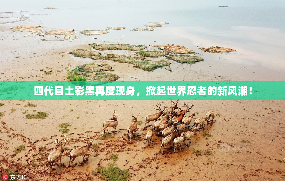 四代目土影黑再度现身，掀起世界忍者的新风潮！