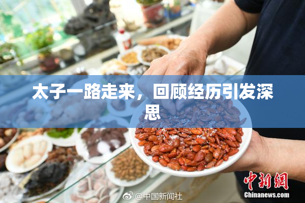 太子一路走来，回顾经历引发深思