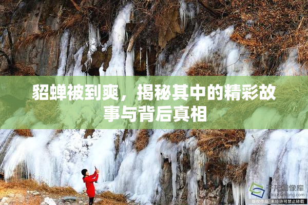 貂蝉被到爽，揭秘其中的精彩故事与背后真相
