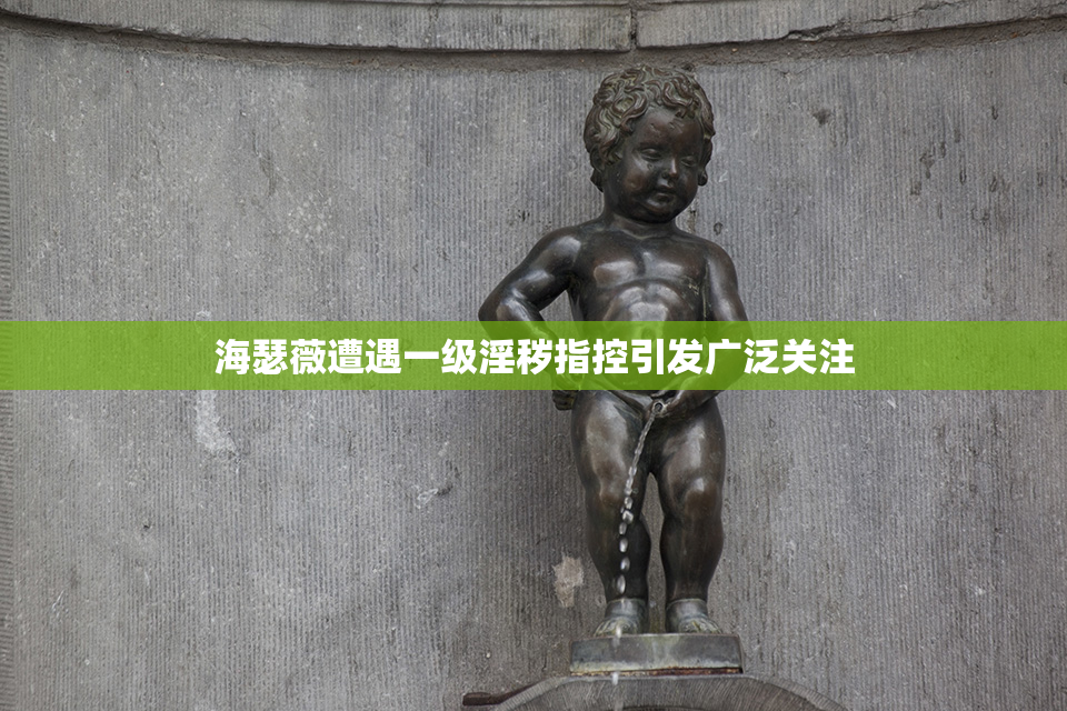 海瑟薇遭遇一级淫秽指控引发广泛关注