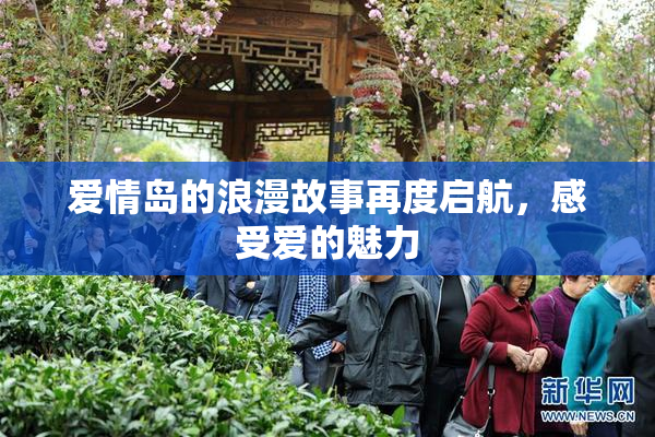 爱情岛的浪漫故事再度启航，感受爱的魅力