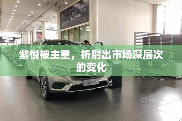 紫悦被主重，折射出市场深层次的变化