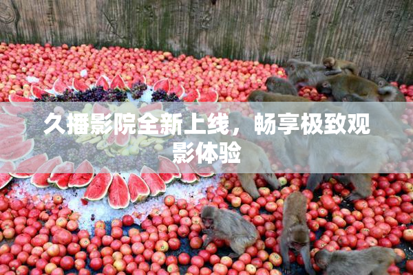久播影院全新上线，畅享极致观影体验