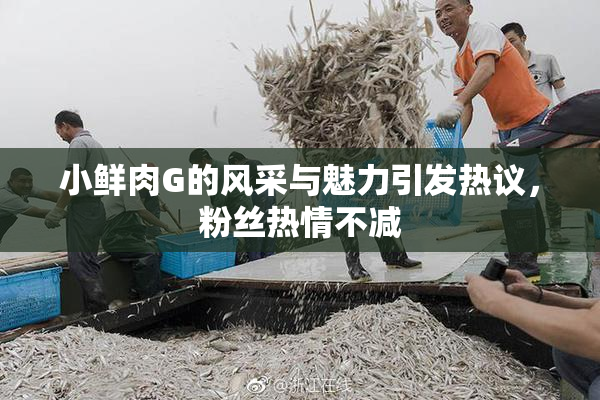 小鲜肉G的风采与魅力引发热议，粉丝热情不减