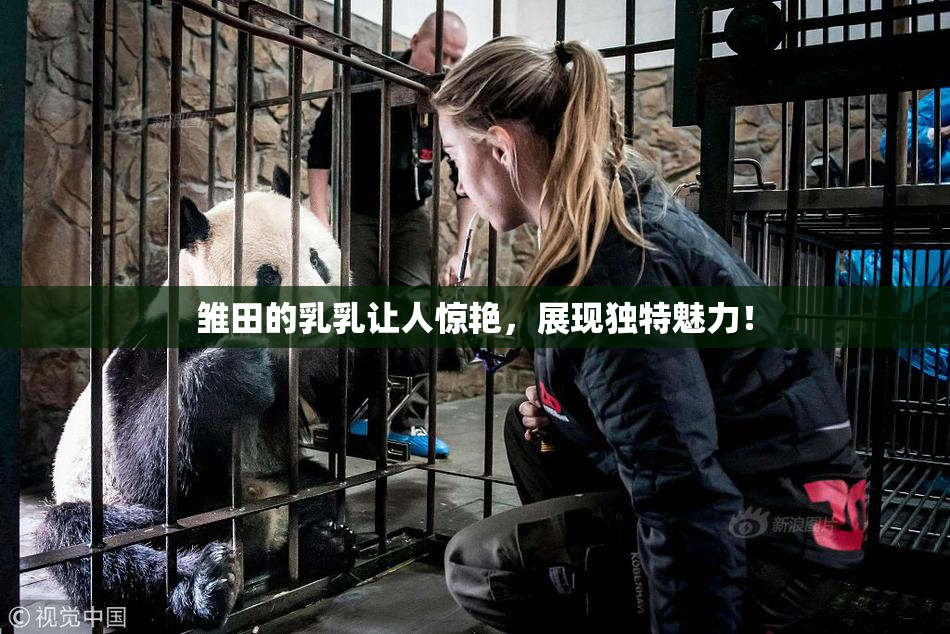 雏田的乳乳让人惊艳，展现独特魅力！