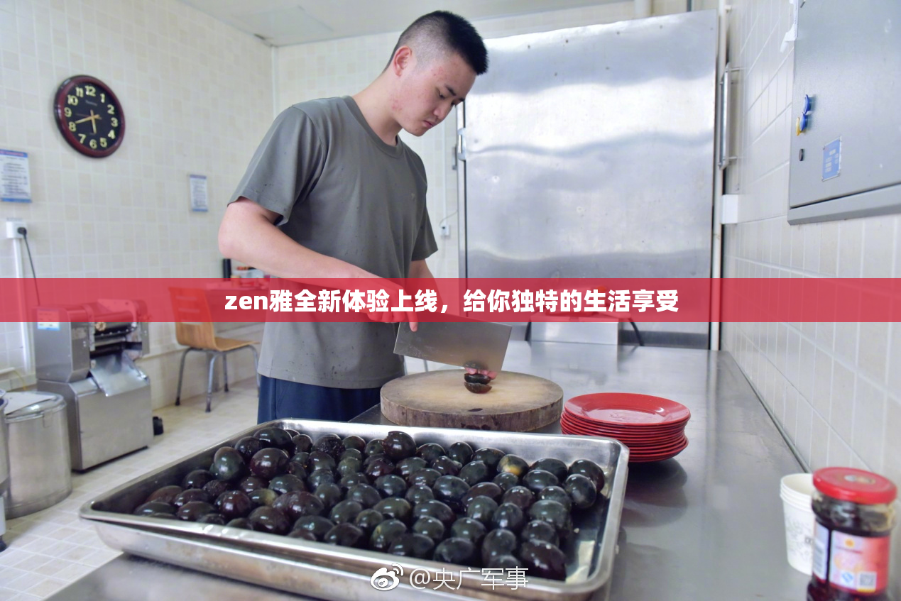 zen雅全新体验上线，给你独特的生活享受