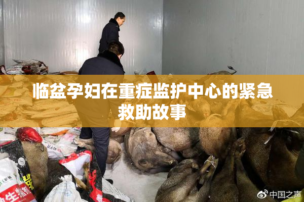 临盆孕妇在重症监护中心的紧急救助故事