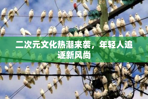 二次元文化热潮来袭，年轻人追逐新风尚