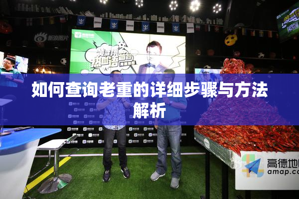 如何查询老重的详细步骤与方法解析