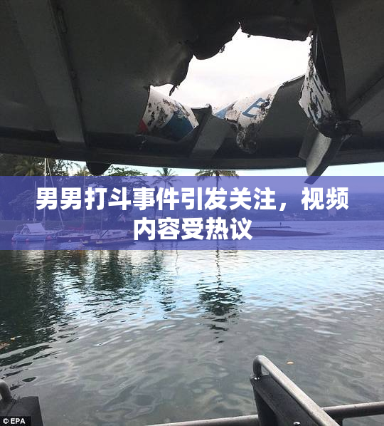 男男打斗事件引发关注，视频内容受热议