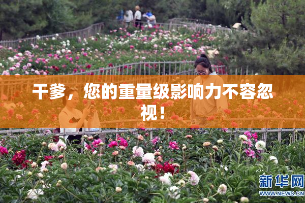 干爹，您的重量级影响力不容忽视！