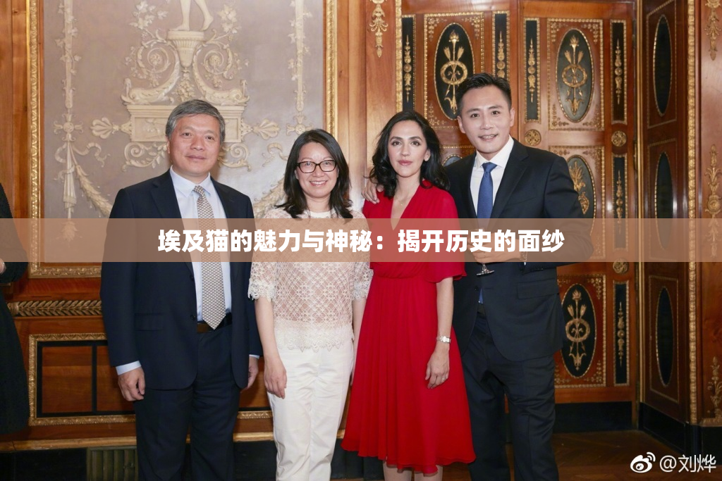 埃及猫的魅力与神秘：揭开历史的面纱