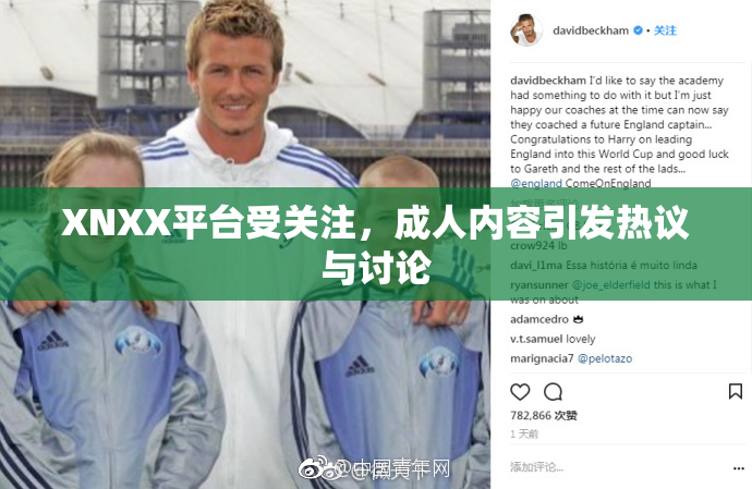 XNXX平台受关注，成人内容引发热议与讨论