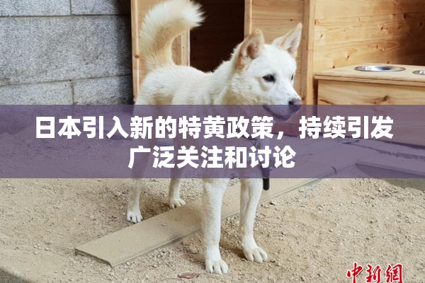 日本引入新的特黄政策，持续引发广泛关注和讨论
