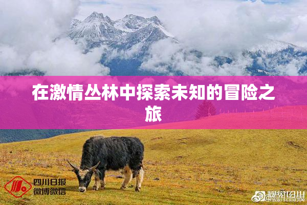 在激情丛林中探索未知的冒险之旅