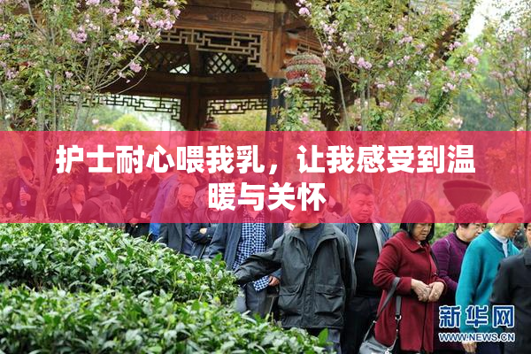 护士耐心喂我乳，让我感受到温暖与关怀