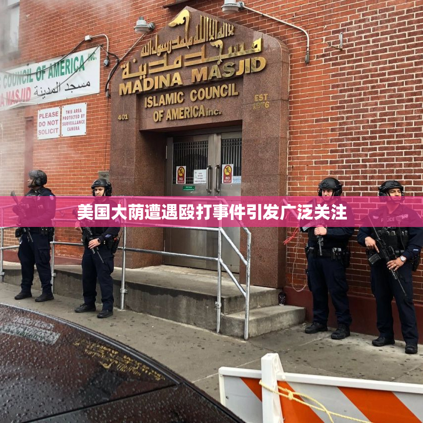 美国大荫遭遇殴打事件引发广泛关注