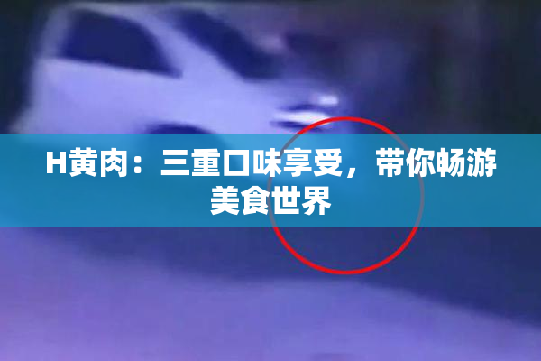 H黄肉：三重口味享受，带你畅游美食世界